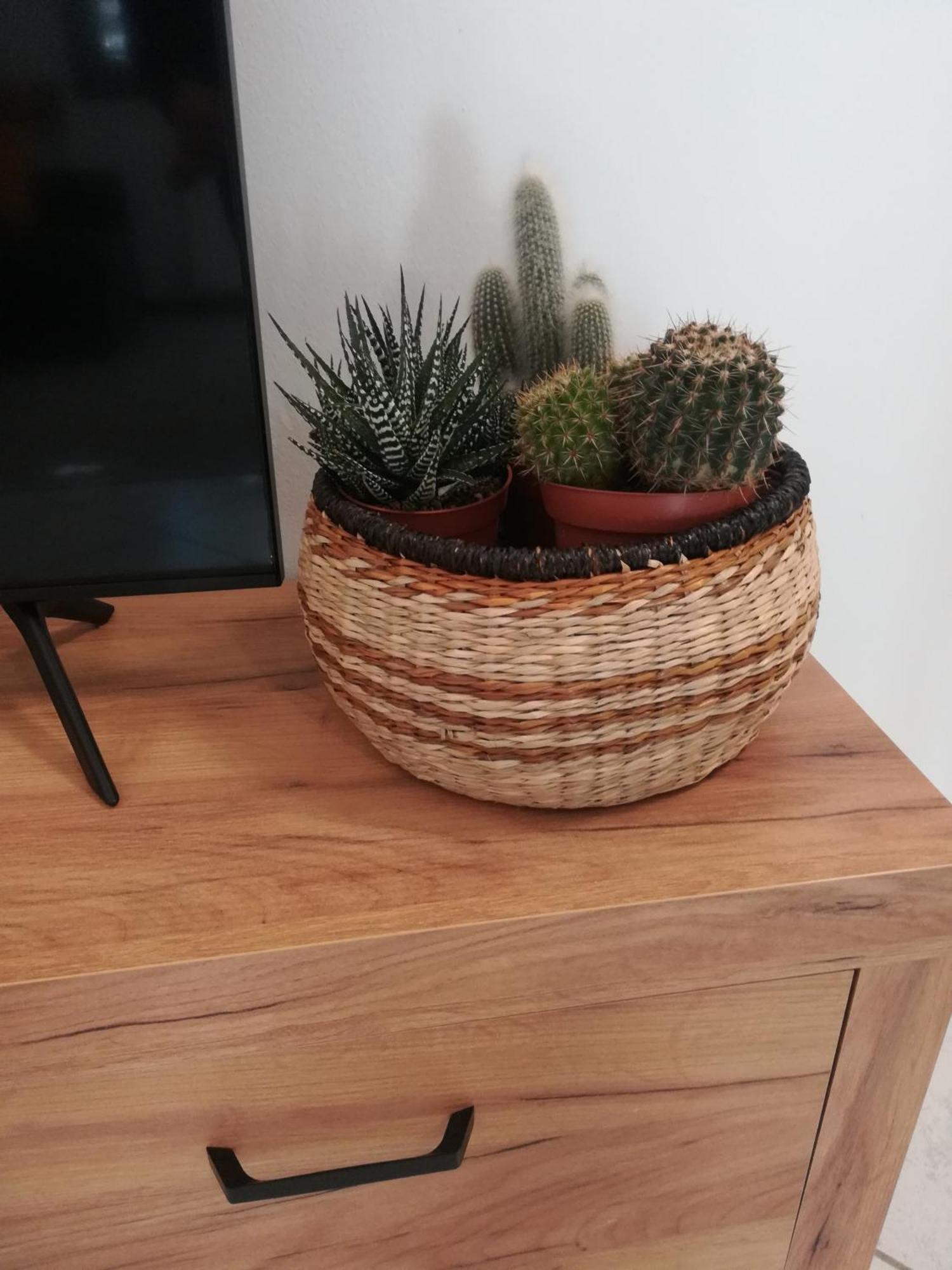 A&G Apartment Zanica Екстериор снимка